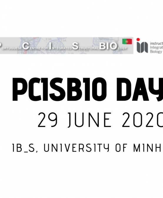 PCISBIO Day @UMINHO