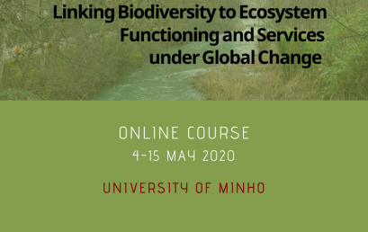 Linking Biodiversity to Ecosystem Functioning and Services under Global Change